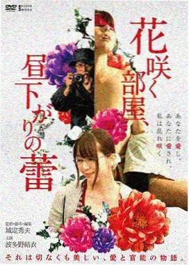 雾城迷案电影封面